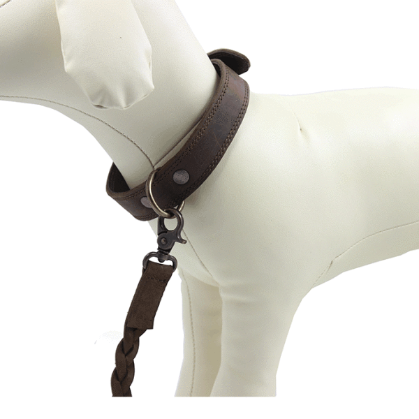 Kjøre Project Leather Dog Collar & Leash Promozione Limitata
