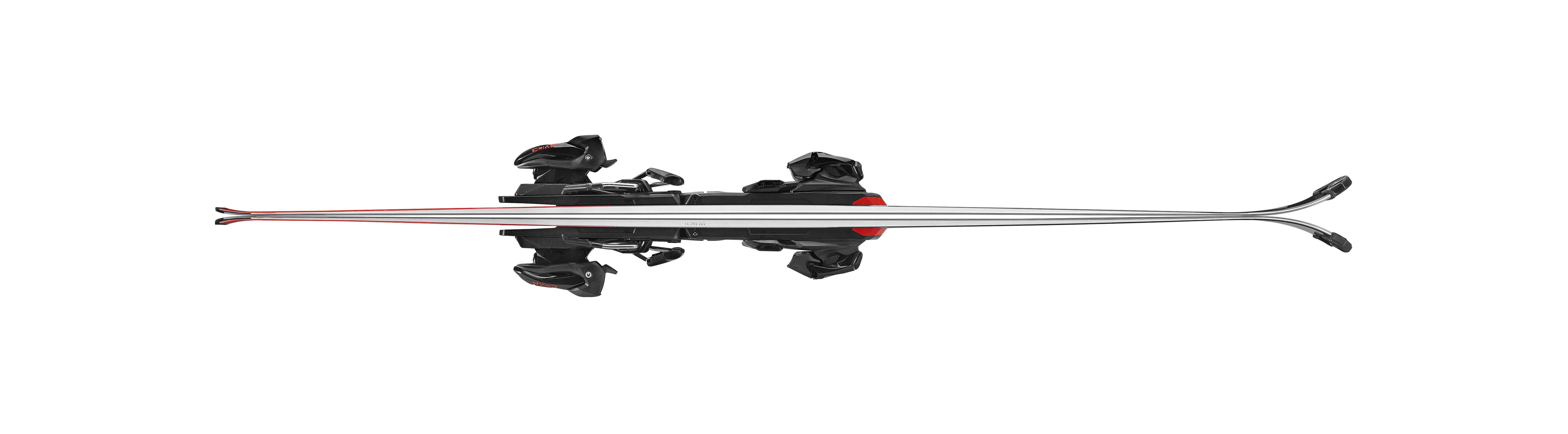 Nordica Dobermann SLJ Plate Spedizione Gratuita
