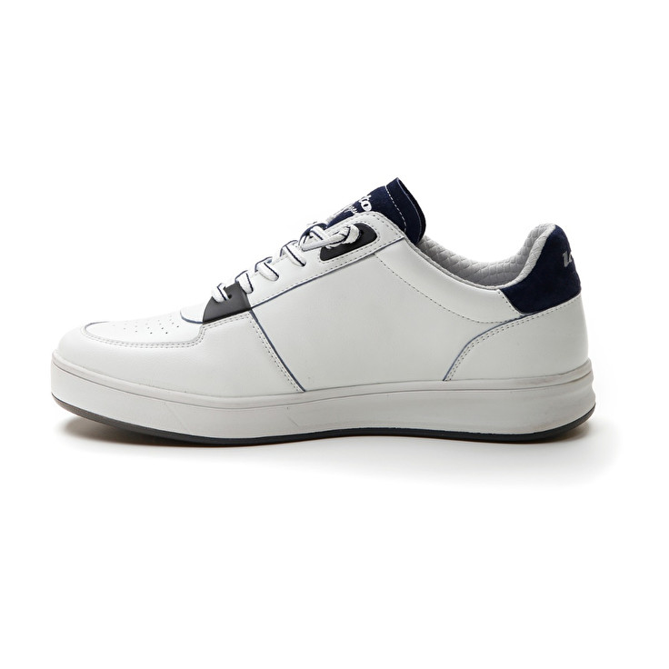 Lotto SIGNATURE EDGE Offerte