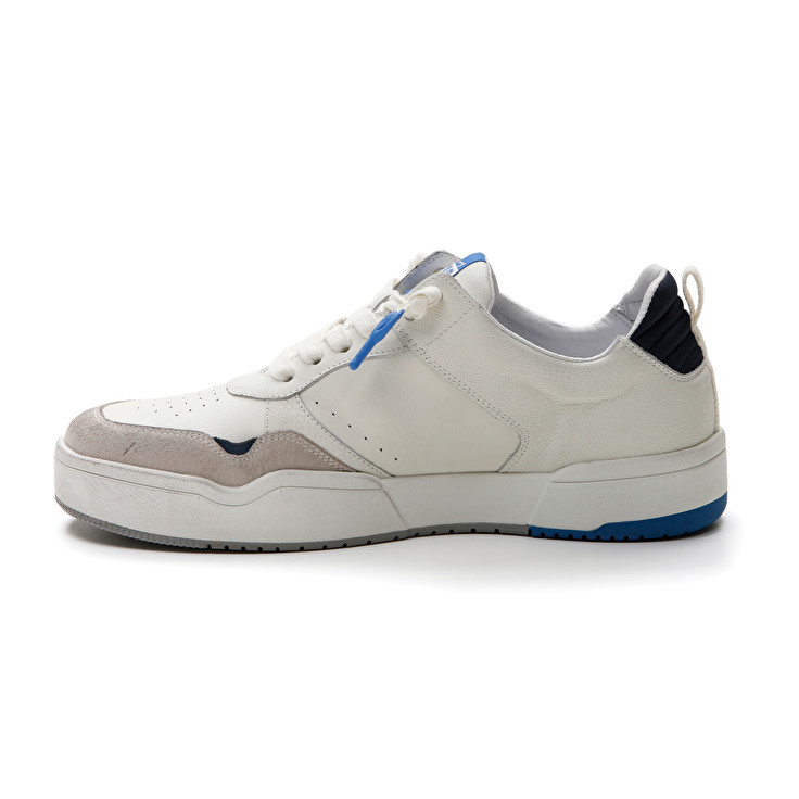 Lotto HOOP STARS RUB Italia