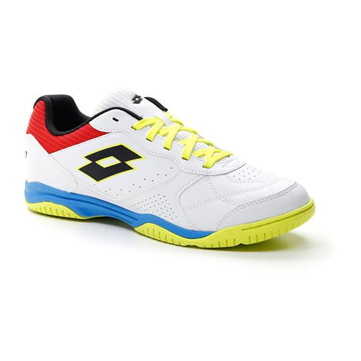 Lotto TACTO 300 VII ID Nuova