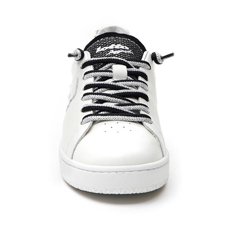 Lotto AUTOGRAPH ZEBRA W Sottocosto