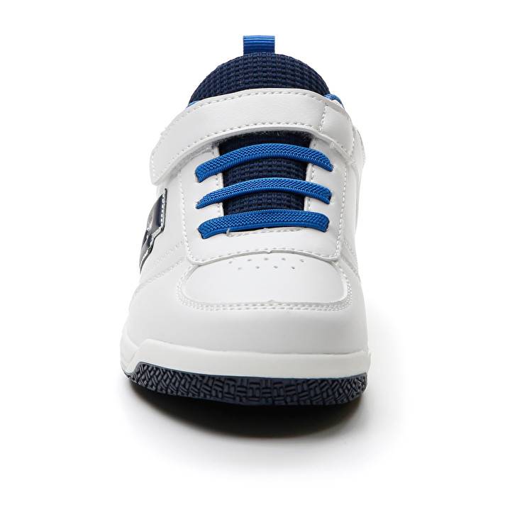 Lotto SET ACE AMF XIX 1 CL S Offerta