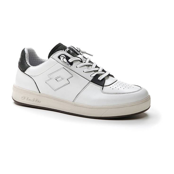 Lotto SIGNATURE EDGE Offerte