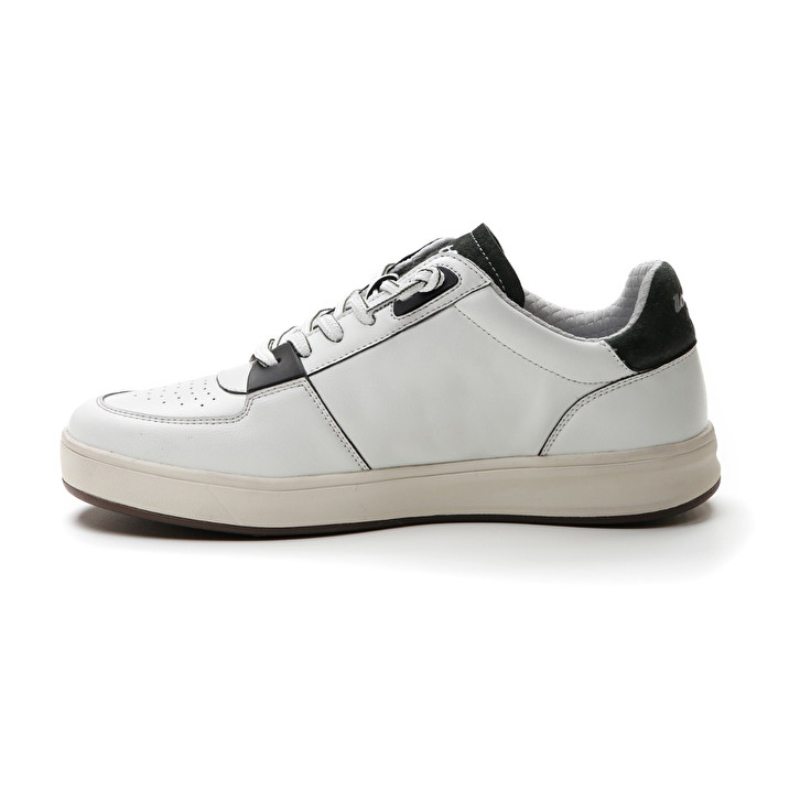 Lotto SIGNATURE EDGE Offerte