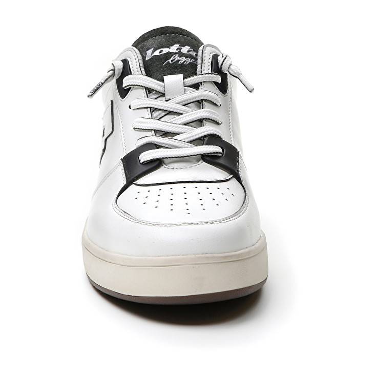 Lotto SIGNATURE EDGE Offerte