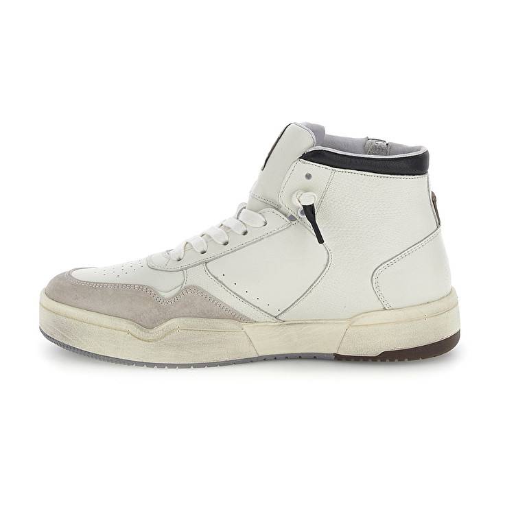Lotto HOOP STARS HIGH SUEDE Negozi Online