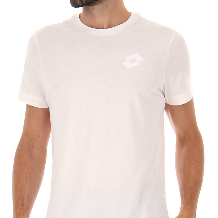 Lotto MSC TEE II Offerta
