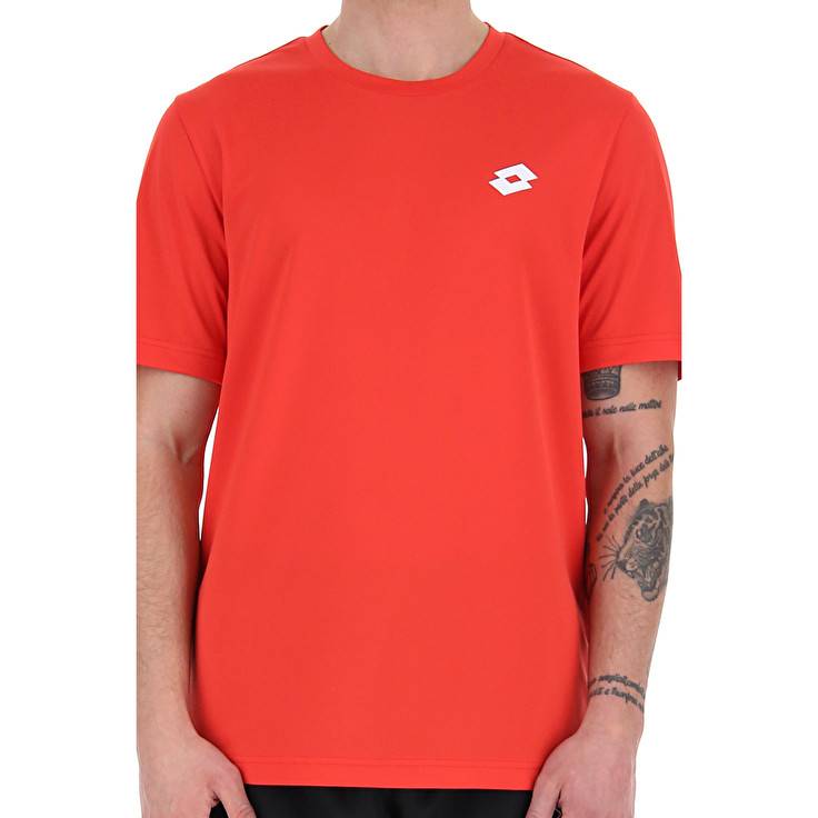 Lotto MSP TEE Vendita