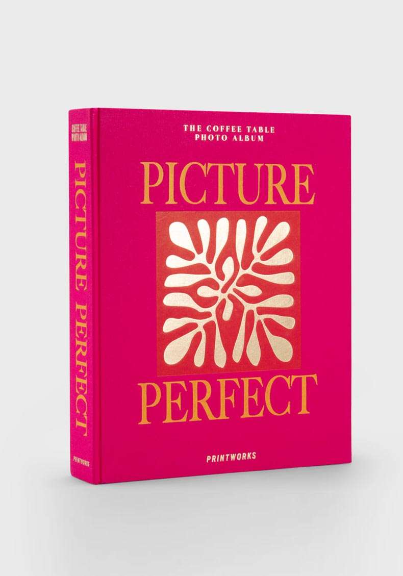 Rose & Lini PRINTWORKS “PICTURE PERFECT” PHOTO ALBUM Economico