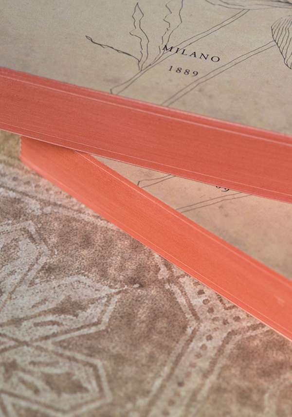 Rose & Lini SLOW DESIGN “LIBRI MUTI” IL PIACERE In Vendita