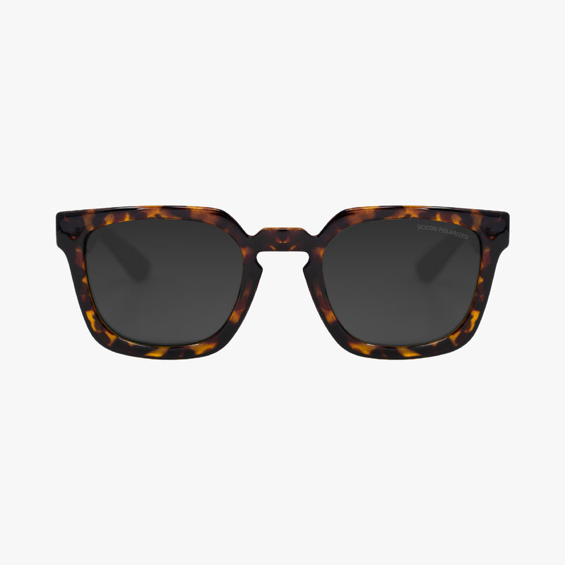 Scicon Occhiali da sole Turcio Tartarugati/Lenti Polarizzate Nere Shopping Online